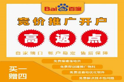 某电商平台的SEM推广实战经验